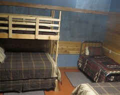 Entire House / Apartment Newly Renovated Bunkhouse With All The Amenities One Could Need (Geddes, USA)