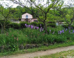 Toàn bộ căn nhà/căn hộ Former Farmhouse Renovated In A Serene Natural Setting (Saint-Ferriol, Pháp)