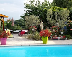 Hotel Bed And Breakfast Romanov With Swimming Pool 40 Km Toulouse (Gratens, Francia)