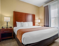 Hotel Comfort Inn & Suites (Daphne, USA)