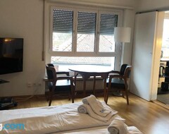 Tüm Ev/Apart Daire Cozy, Sunny, City Center 1 Bedroom Flat (marble 3) (Zürih, İsviçre)