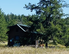 Small Rustic Cabin At The Black Lantern Resort (Solway, Hoa Kỳ)