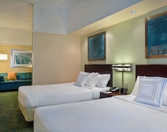 Otel Springhill Suites St Petersburg Clearwater (Clearwater, ABD)