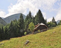Toàn bộ căn nhà/căn hộ Selfcare-Hut In The Mountains - The Starting Point For Many Hikes (Kolbnitz, Áo)