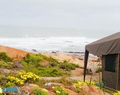 Khách sạn Namaqua Flowers Beach Camp (Strandfontein, Nam Phi)