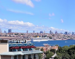 Hotelli Hotel And (Istanbul, Turkki)