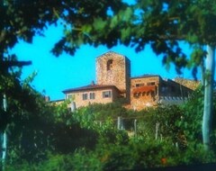 Hele huset/lejligheden charming castle apartement with glorious views (Greve in Chianti, Italien)