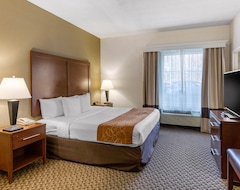 Otel Comfort Suites Columbia Gateway (Elkridge, ABD)