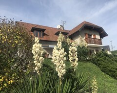 Toàn bộ căn nhà/căn hộ Bellevue Villa, Near Lac Annecy + Ski Areas, New Kitchen, 4 Bedrooms: 8 Per., Sauna (Cuvat, Pháp)