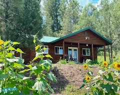 Casa/apartamento entero Salt Creek Ranch Cabin (Pinos Altos, EE. UU.)