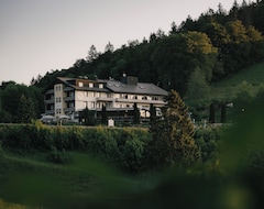 Hotelli Berghotel Wiedener Eck (Wieden, Saksa)