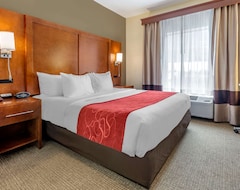 Otel Comfort Suites Newark - Harrison (Newark, ABD)