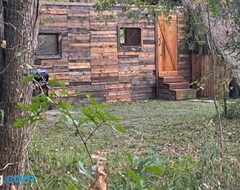 Koko talo/asunto Remote Cabin Next To Sam Houston National Forest (Onalaska, Amerikan Yhdysvallat)
