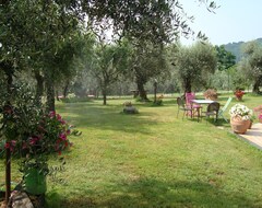 Toàn bộ căn nhà/căn hộ The Barn Of Penelope - Typical Tuscan Farmhouse Surrounded By Greenery (Marliana, Ý)