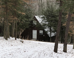 Entire House / Apartment A-frame Of Mind (Summersville, USA)