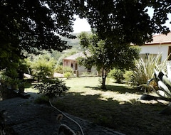 Hele huset/lejligheden Casa Campelos - Relaxing Holiday (Vila Pouca de Aguiar, Portugal)