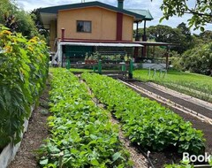 Cijela kuća/apartman Finca La Luna - Bed & Breakfast On An Organic Farm (Concepción, Kostarika)