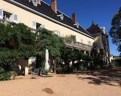Toàn bộ căn nhà/căn hộ Castle- Apartment 8 People In The Heart Of Beaujolais (Saint-Étienne-la-Varenne, Pháp)