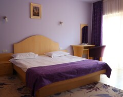Hotel Pensiunea Andy (Brasov, Romania)