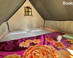 Leirintäalue Hollong Eco Camp (Chikhli, Intia)