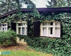 Hele huset/lejligheden Bialy Domek W Puszczykowie (Puszczykowo, Polen)