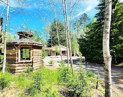 Entire House / Apartment Cozy Cabin On 5 Acres Of Wooded Land! (Milwaukee, USA)