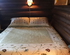 Tüm Ev/Apart Daire Cozy Family And Pet Friendly Cabin Near Fife Lake (Fife Lake, ABD)