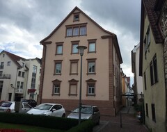 Toàn bộ căn nhà/căn hộ 3-room Apartment (125m²) On The Edge Of The Pedestrian Zone In Sigmaringen. (Sigmaringen, Đức)