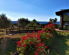 Hotel Pian Del Grano Organic Farm With Bolsena Lake View (Grotte di Castro, Italia)