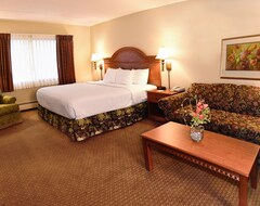 Khách sạn Centerstone Plaza Hotel Soldiers Field - Mayo Clinic Area (Rochester, Hoa Kỳ)