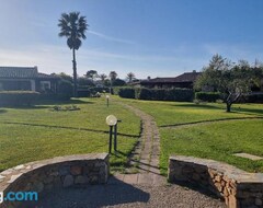 Koko talo/asunto La Casa Dei Fenicotteri - San Teodoro (San Teodoro, Italia)