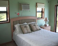 Cijela kuća/apartman Private 2 Bedroom Beachfront Estate 100 Yards From A Deserted Pink Sand Beach (North Palmetto Point, Bahami)