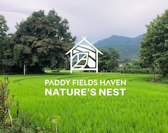 Hotel Paddy Fields Haven - Natures Nest (Pai, Tajland)