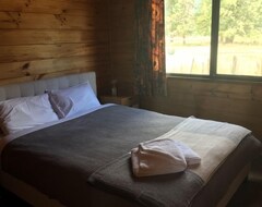 Cijela kuća/apartman Maruia Springs Cozy Cottage (Reefton, Novi Zeland)