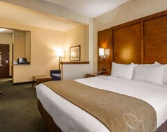 Otel Comfort Suites Appleton Airport (Appleton, ABD)