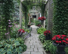 Cijela kuća/apartman Beautiful Bungalow W/breathtaking Garden & Open Basement For Family Gatherings! (Brampton, Kanada)