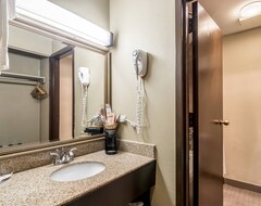 Hotel Comfort Inn Convention Center-Chicago O'Hare Airport (Des Plaines, USA)