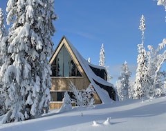 Toàn bộ căn nhà/căn hộ A-frame Villa With 5-star Hotel Experience (Undersåker, Thụy Điển)