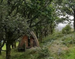 Hele huset/lejligheden Luxurious Log Cabin In Connemara And Mayo With Hottub. (Westport, Irland)