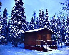 Tüm Ev/Apart Daire Off Grid, Totally Private Alaskan Clear Creek Dry Cabin! (Nenana, ABD)