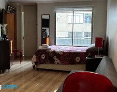 Tüm Ev/Apart Daire Dpto Moderno En Lastarria (Santiago, Şili)