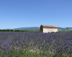 Toàn bộ căn nhà/căn hộ Medieval Village In The Heart Of Provence (Villedieu, Pháp)