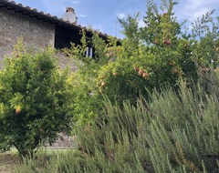 Toàn bộ căn nhà/căn hộ A Farmhouse Nestled Between Gardens And Olive Trees (Torgiano, Ý)