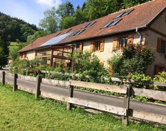 Toàn bộ căn nhà/căn hộ 3-star cottage, 8 pers. 14 pers. Mountain farm (Sainte-Croix-aux-Mines, Pháp)