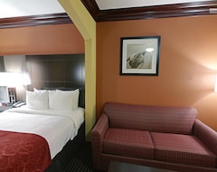 Hotel Comfort Suites Lake Jackson Clute (Lake Jackson, EE. UU.)
