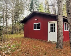 Entire House / Apartment Quiet Lakeside Log Cabin With Teaching/studio Space Available For Retreats (Bigfork, USA)