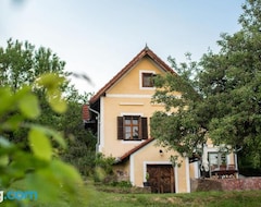Toàn bộ căn nhà/căn hộ Panoramas Vincellerhaz - Balatonszepezd (Balatonszepezd, Hungary)