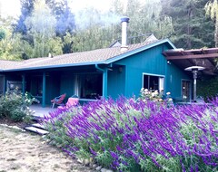 Toàn bộ căn nhà/căn hộ Lovely, Private, Very Comfortable 'Home Away From Home' Amidst Scenic Redwoods (Ben Lomond, Hoa Kỳ)