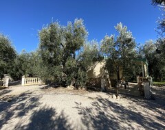 Toàn bộ căn nhà/căn hộ Detached House Surrounded By Secular Olive Trees (Volturino, Ý)