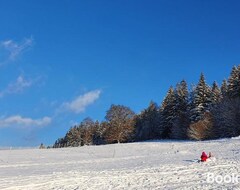 Nhà trọ Pensiunea Maros (Izvorul Muntelui, Romania)